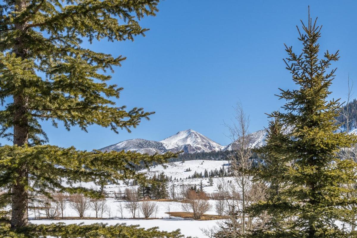 1193 Ferienhaus Mammoth Lakes